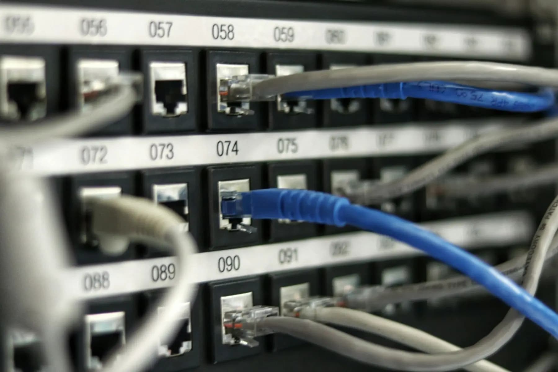 Blue and gray network cables plugged into a numbered patch panel